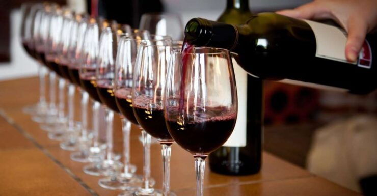 From Tunis: Visit of Hammamet & Wine Tasting Experience - Wine Tasting Experience