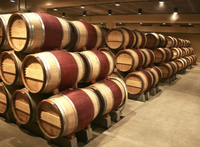 From Tunis: Visit of Hammamet & Wine Tasting Experience - Exploring Hammamet