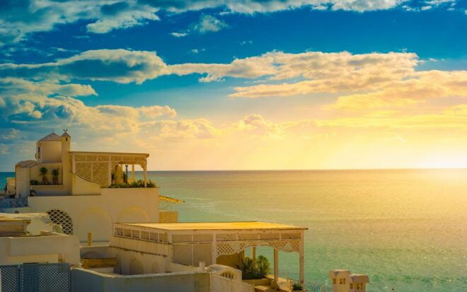 From Tunis: Visit of Hammamet & Wine Tasting Experience - Live Tour Guide