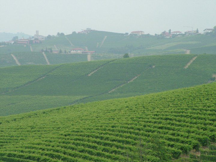 From Turin: 8-Day Cycling Tour in Piedmont - Day 1: Arrival in Turin
