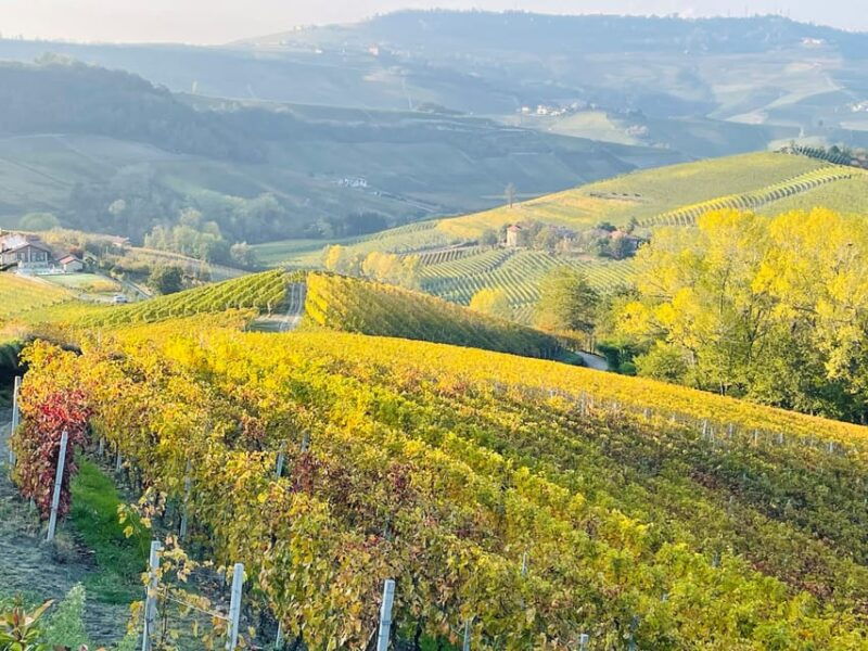 From Turin: Barolo & Barbaresco Tasting Tour - An In-Depth Look at the From Turin: Barolo & Barbaresco Tasting Tour