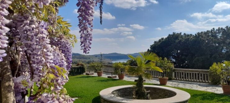 From Turin: Food and Wine Guided Tour in Canavese - Tour Details
