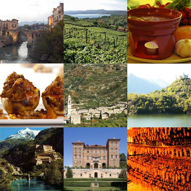 From Turin: Food and Wine Guided Tour in Canavese - Activity Description