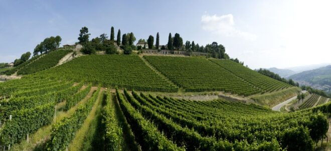 From Turin: Half-Day Truffle Hunting and Lunch in Piedmont - Customer Review