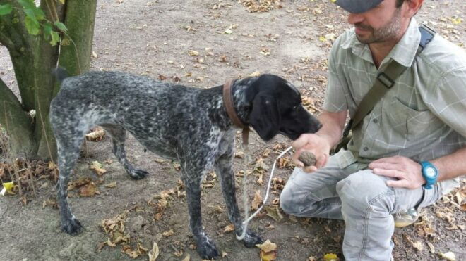From Turin: Half-Day Truffle Hunting and Lunch in Piedmont - Additional Information