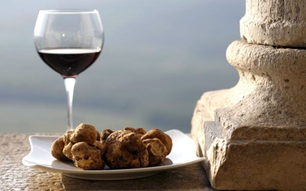From Turin: Half-Day Truffle Hunting and Lunch in Piedmont - The Sum Up