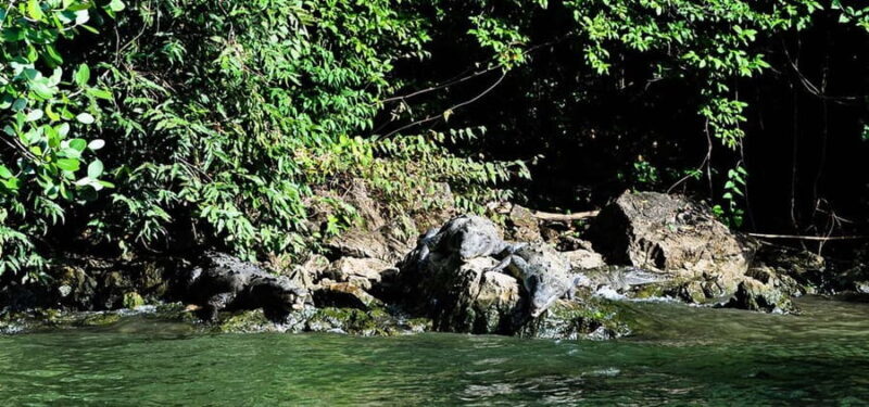 From Tuxtla:4 dias, Chiapas,Naturaleza,Cultura yMagia Guiado - Introducing the Chiapas 4-Day Guided Tour from Tuxtla