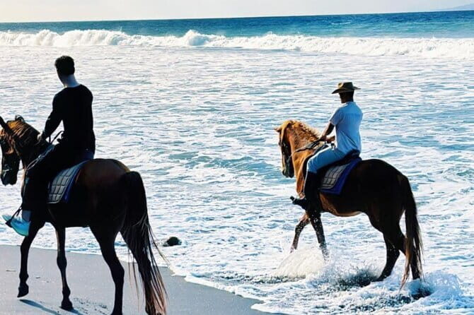 From Ubud 1 Hour Horse Riding at The Beach Experiences - Detailed Breakdown of the Itinerary