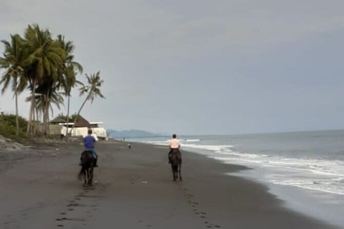 From Ubud 1 Hour Horse Riding at The Beach Experiences - Practical Tips for Booking and Participating