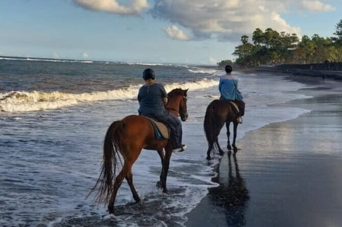 From Ubud 1 Hour Horse Riding at The Beach Experiences - Why It’s a Perfect Fit