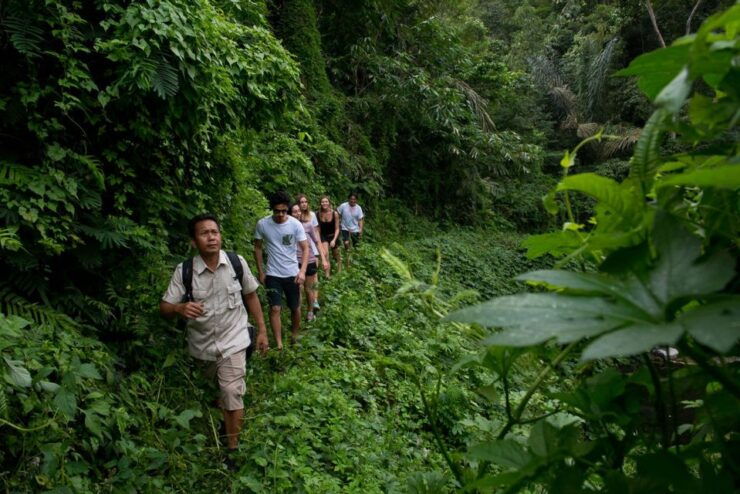 From Ubud: 3-Hour Tropical Trek and Taro Village Tour - Activity Details