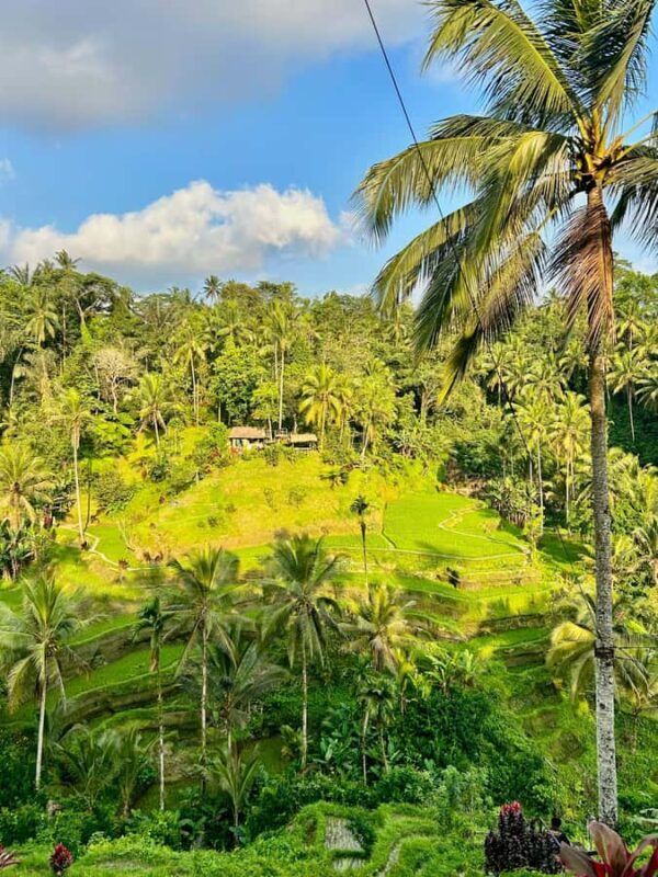 From Ubud: ATV Adventure, Rice Fields, and Waterfall Tour - From Ubud: ATV Adventure, Rice Fields, and Waterfall Tour — A Complete Guide