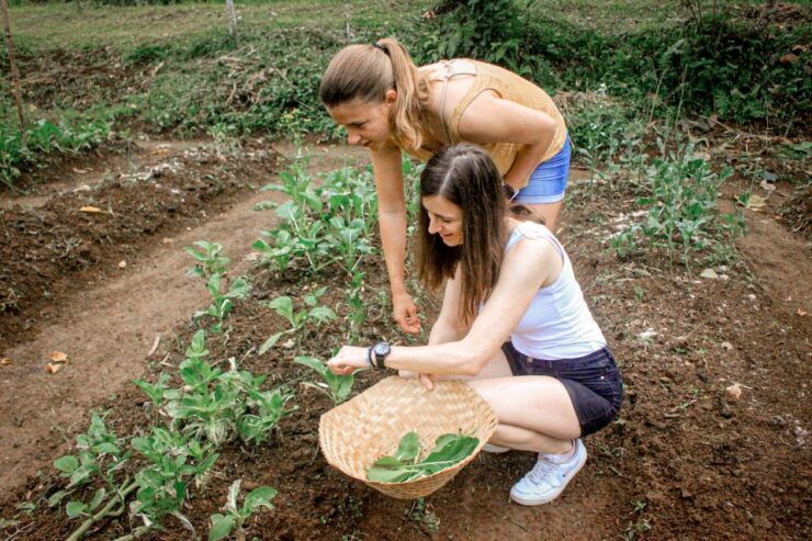 From Ubud: Balinese Cooking Class at an Organic Farm - Activity Details: Free Cancellation, Duration, and Reservation