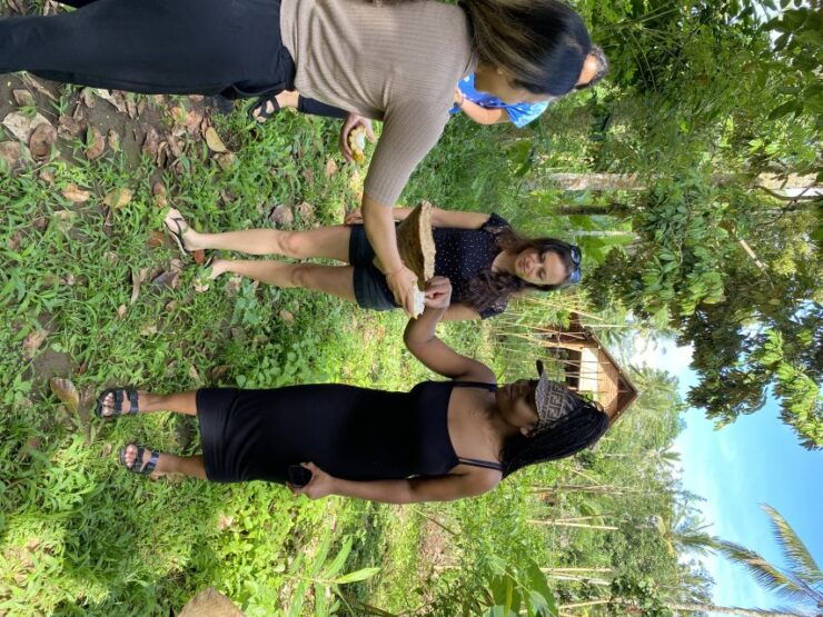 From Ubud: Balinese Cooking Class at an Organic Farm - Experience: Hands-on Cooking Class and Organic Farm Visit