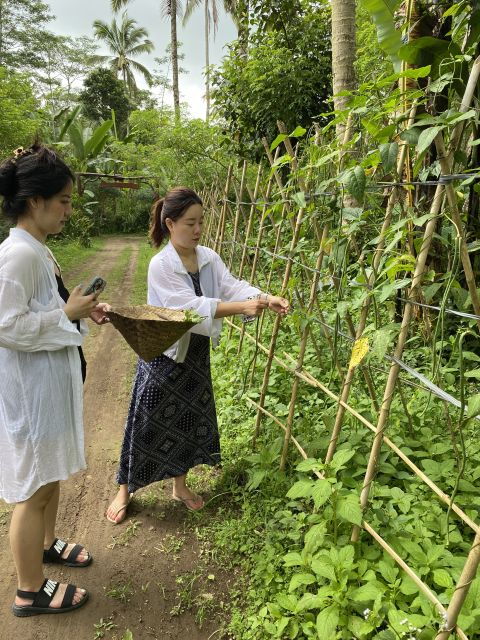 From Ubud: Balinese Cooking Class at an Organic Farm - Vegetarian Menu: Vegetarian Balinese Dishes and Dessert