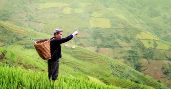 From Ubud: Evening Firefly Tour in Taro Village - The Sum Up