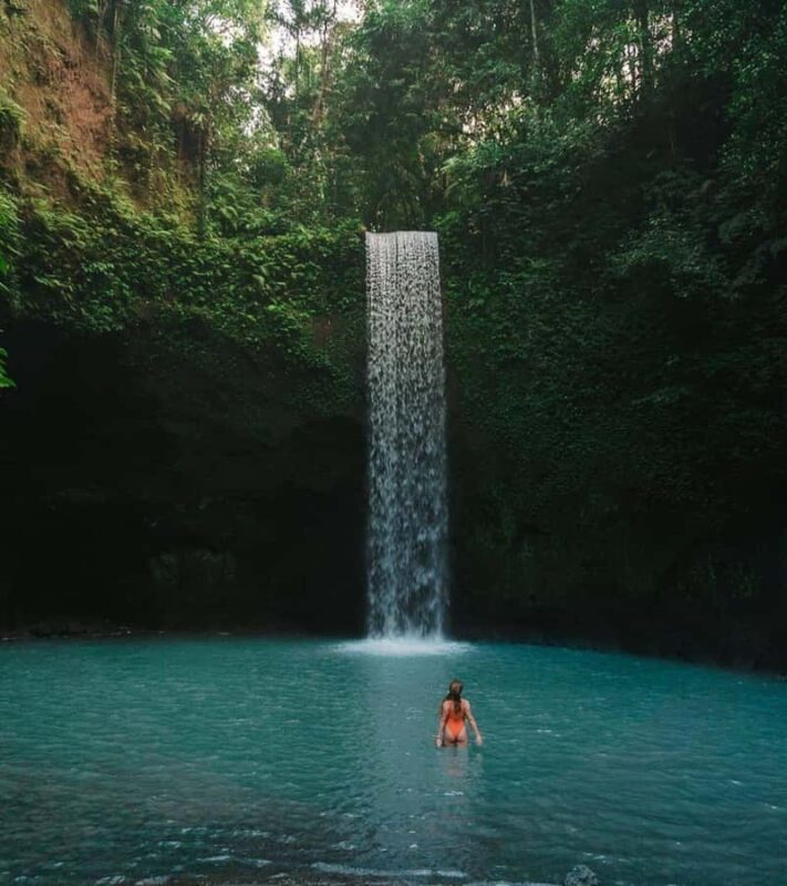 From Ubud: Rice Terrace, Monkey Forest & Waterfall Tour - Good To Know