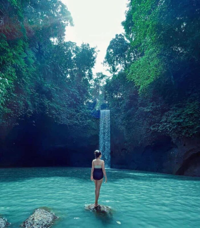 From Ubud: Rice Terrace, Monkey Forest & Waterfall Tour - Tirta Empul Temple