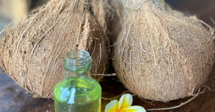 From Ubud: Traditional Bali Cococut Oil Class - Health Benefits of Coconut Oil