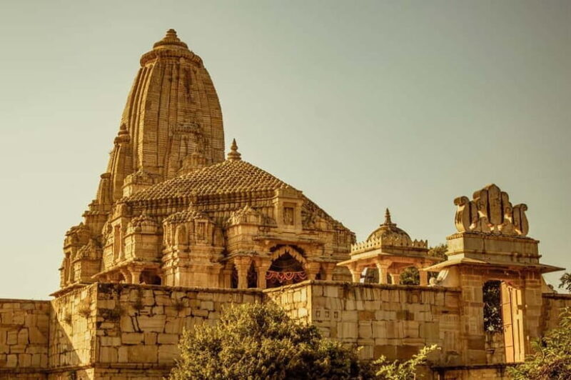 From Udaipur: Chittorgarh Fort Trip with Pushkar Drop-off - Who Should Book This Tour?