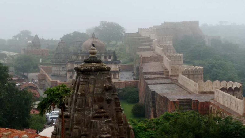 From Udaipur: Kumbhalgarh and Ranakpur Private Day Trip - Final Word