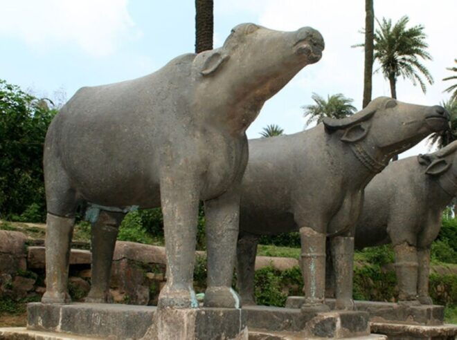 From Udaipur : Private Transfer To Ranthmbore - Additional Details