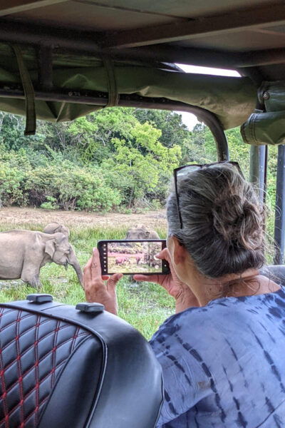 From Udawalawa - Udawalawa National Park Safari Tour - Exclusions to Note