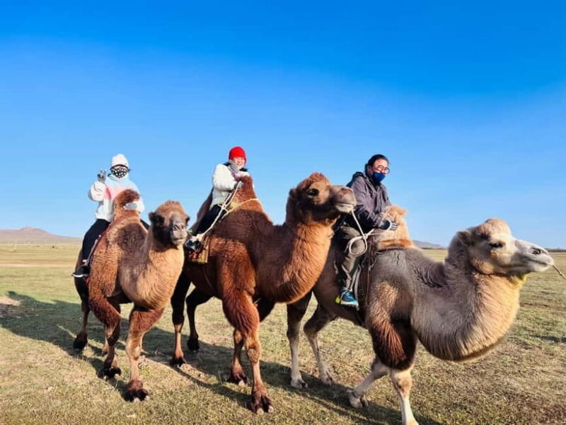 From Ulaanbaatar: 2-Day Kharkhorin and Elsen Tasarkhai Tour - Touring Mongolia’s Ancient Capital: What to Expect