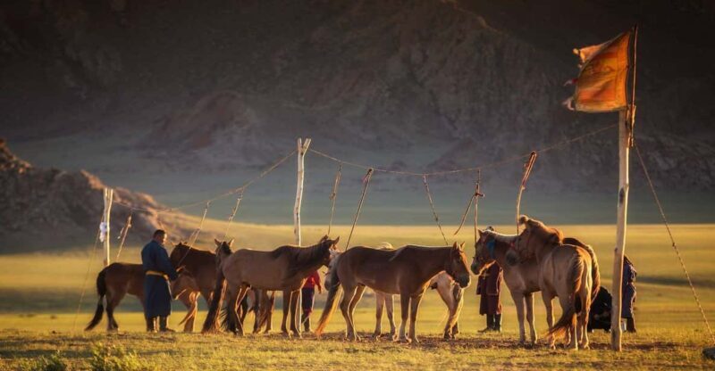 From Ulaanbaatar: Day Trip to Hustai National Park - FAQ