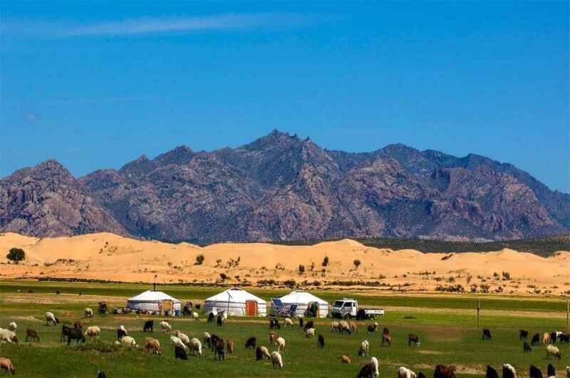 From Ulaanbaatar: Semi Gobi and Ancient Kharkhorin Tour - Who This Tour Is Perfect For