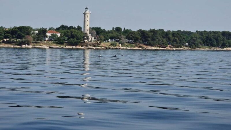 From Umag: Boat Tour to Savudrija with Swimming and Dolphins - The Savudrija Stop: Swimming and Exploring