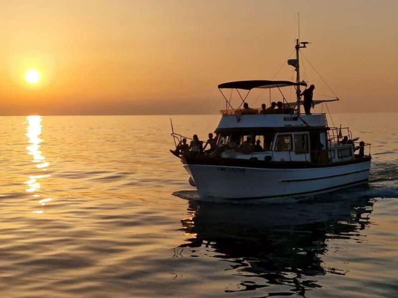 From Umag: Boat Tour to Savudrija with Swimming and Dolphins - The Sum Up