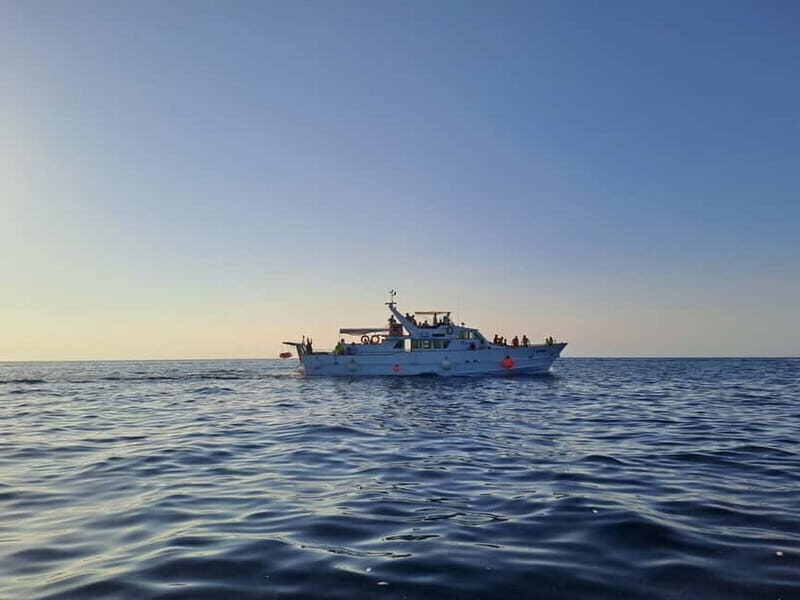 From Umag: Fish Picnic to Pore with Lunch and Swimming - The Itinerary in Detail