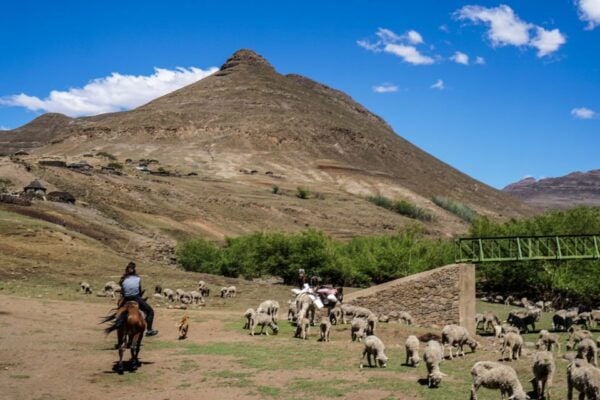 From Underberg: Lesotho Day Trip With Picnic Lunch - Additional Tips