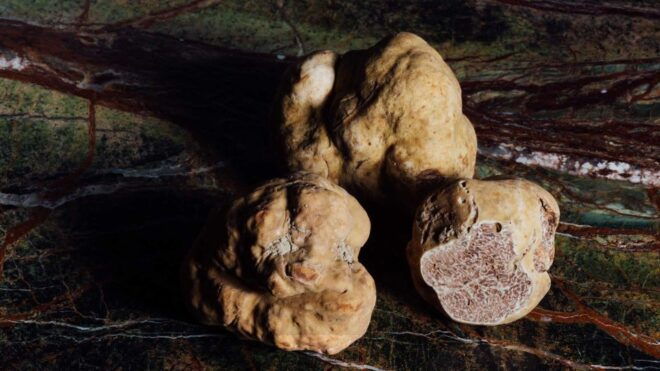 From Urbino: Montefeltro Tour With Truffle Lunch - Logistics