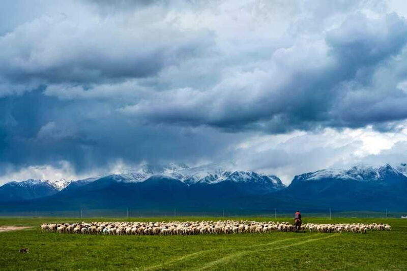 From Urumqi: 7-Day Silk Road Tour with Kashgar and Turpan - FAQs