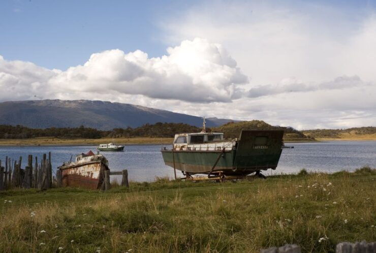 From Ushuaia: Penguin Watching Tour by Catamaran - Tour Overview