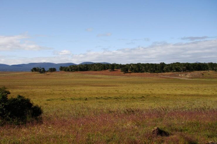 From Ushuaia: Tolhuin and Cape San Pablo Private Tour - Itinerary and Highlights