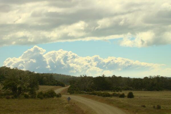 From Ushuaia: Tolhuin and Cape San Pablo Private Tour - Transitioning Landscapes of Tierra Del Fuego