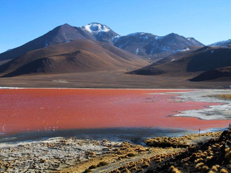 From Uyuni: Geyser and Uyuni Salt Flats 3-Days Flamingos - Itinerary Overview