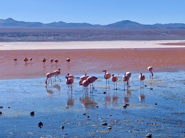 From Uyuni: Uyuni Salt Flat 3 Days - Inclusions and Exclusions