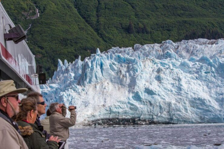 From Valdez: 7.5-hour Meares Glacier & Wildlife Cruise - Free Cancellation and Refund Policy
