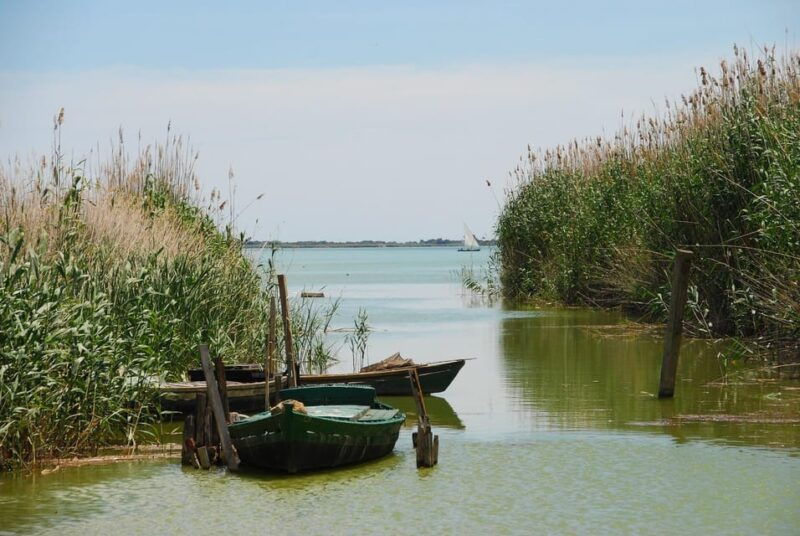 From Valencia: Albufera Boat Ride & Food (Paella) Included - Itinerary Details