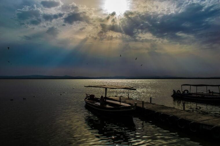 From Valencia: Albufera Boat Ride & Food (Paella) Included - Highlights and Experience