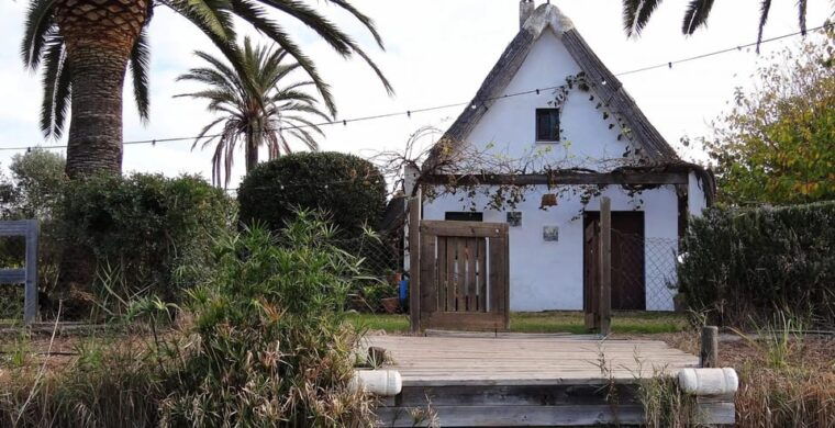From Valencia: Albufera Boat Ride & Food (Paella) Included - Meeting Point and Considerations