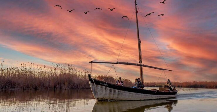 From Valencia: Albufera Day Trip With Boat Tour and Transfer - Activity Details
