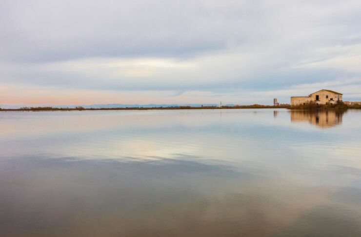 From Valencia: Albufera Day Trip With Boat Tour and Transfer - Experience Highlights
