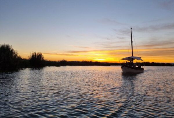 From Valencia: Albufera Day Trip With Boat Tour and Transfer - Common Questions