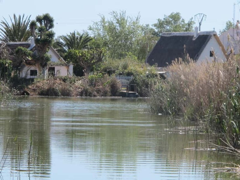 From Valencia: Albufera Natural Park Bus, Cruise and Lunch - Exploring the Albufera Natural Park from Valencia: A Detailed Review