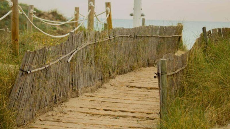 From Valencia: Albufera Natural Park Eco Boat Tour & Sunset - Good To Know